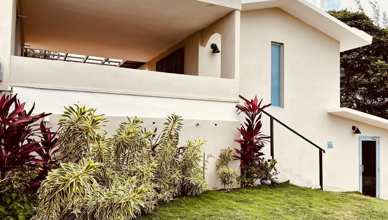 Guest house Lejos Eco Retreat Hotel Vieques Puerto Rico
