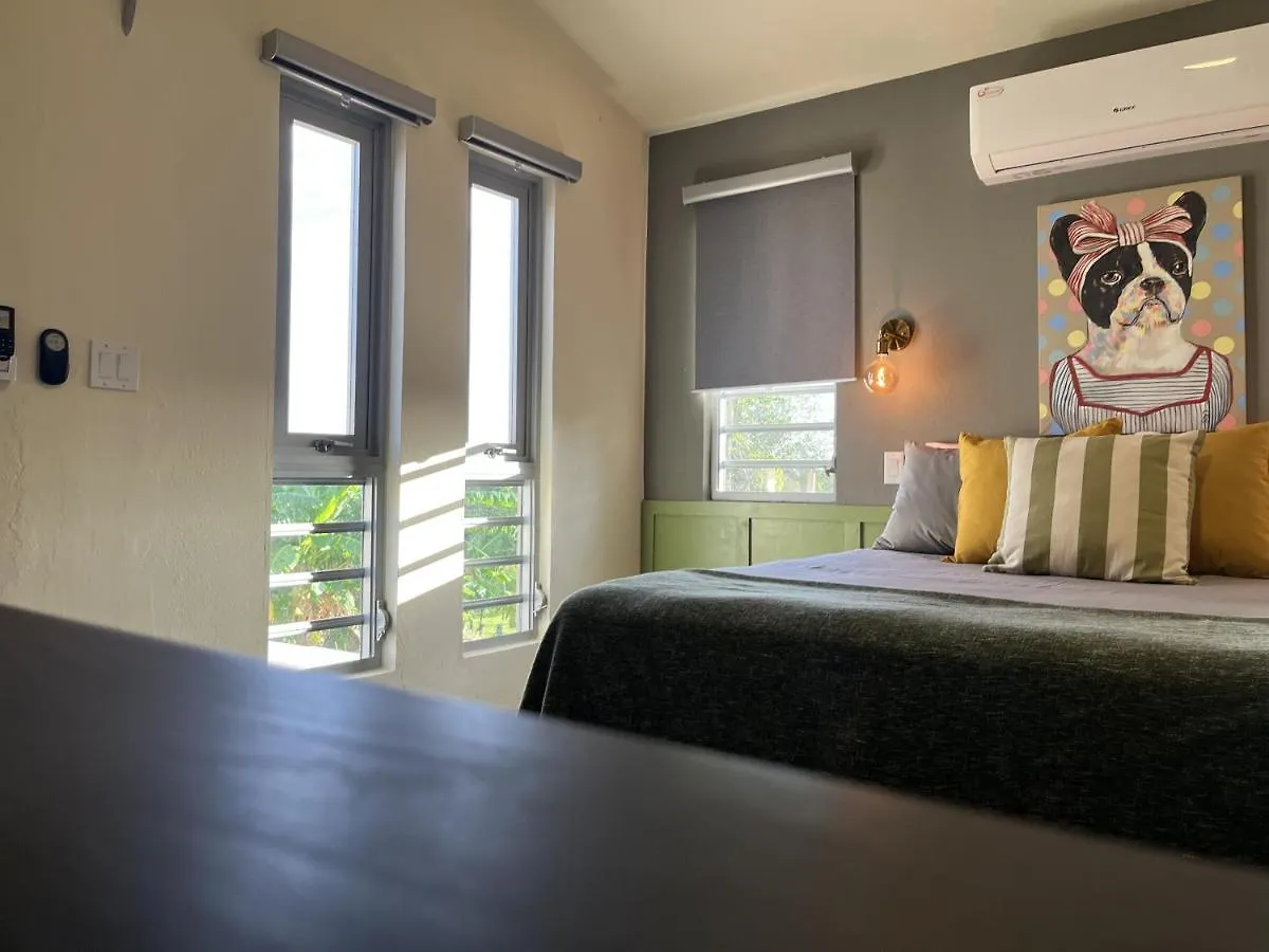 Lejos Eco Retreat Hotel Vieques Guest house